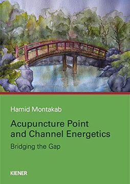 portada Acupuncture Point and Channel Energetics (en Inglés)