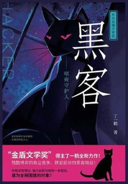 portada 黑客：暗夜守护人 (in Chinese)
