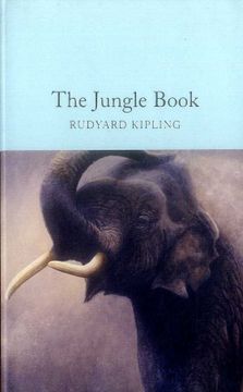 portada The Jungle Book (Macmillan Children's Books Paperback Classics) (in English)