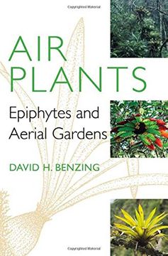 portada Air Plants: Epiphytes and Aerial Gardens (en Inglés)