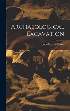 portada Archaeological Excavation