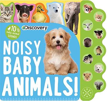 portada Discovery: Noisy Baby Animals! (10-Button Sound Books) (in English)