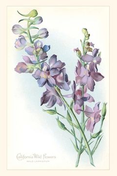 portada The Vintage Journal California Wildflowers, Larkspur (in English)