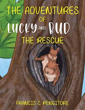 portada The Adventures of Lucky and bud (in English)
