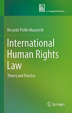 portada International Human Rights Law: Theory and Practice (en Inglés)