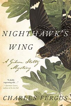portada Nighthawk'S Wing: A Gideon Stoltz Mystery (Gideon Stoltz Mysteries) 