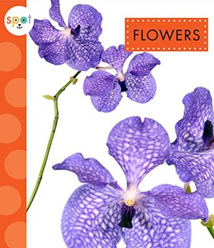portada Flowers (Spot (Paperback))