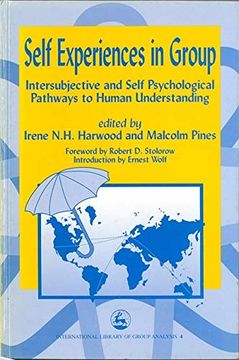 portada Self Experiences in Group: Intersubjective and Self Psychological Pathways to Human Understanding (International Library of Group Analysis) (en Inglés)