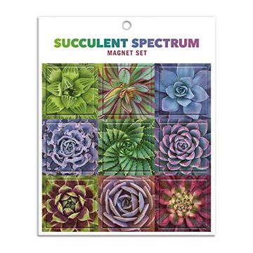 portada Succulent Spectrum Magnet set (en Inglés)