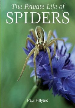 portada The Private Life of Spiders (en Inglés)