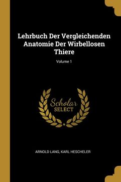 portada Lehrbuch der Vergleichenden Anatomie der Wirbellosen Thiere; Volume 1 (en Alemán)