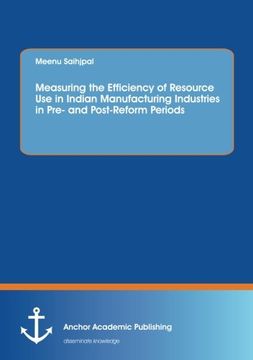 portada Measuring the Efficiency of Resource Use in Indian Manufacturing Industries in Pre and Post-Reform Periods