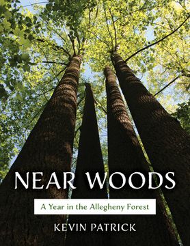 portada Near Woods: A Year in the Allegheny Forest (en Inglés)