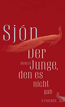 portada Der Junge, den es Nicht Gab: Roman (in German)