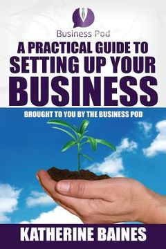 portada A Practical Guide to Setting Up Your Business (in English)