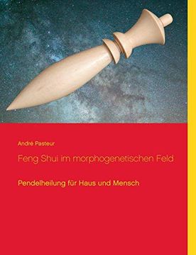 portada Feng Shui im Morphogenetischen Feld: Pendelheilung für Haus und Mensch (en Alemán)