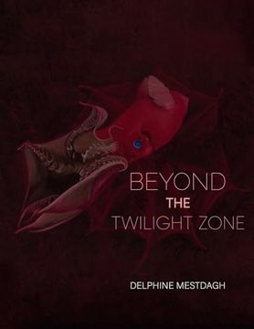 portada Beyond the Twilightzone (en Inglés)