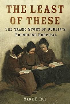 portada The Least of These: The Tragic Story of Dublin'S Foundling Hospital (en Inglés)