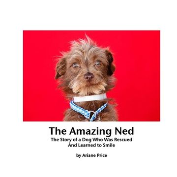 portada The Amazing Ned (en Inglés)