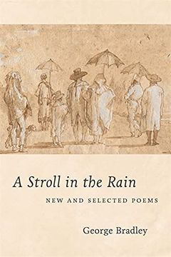 portada A Stroll in the Rain: New and Selected Poems (in English)