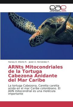 portada ARNts Mitocondriales de la Tortuga Cabezona Anidante del Mar Caribe: La tortuga Cabezona, Caretta caretta anida en el mar Caribe colombiano. El ADN ... es una molécula importante (Spanish Edition)