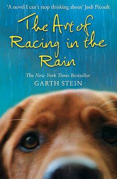 portada the art of racing in the rain: a novel. garth stein (en Inglés)