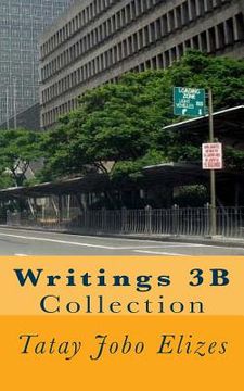 portada Writings 3B (in English)