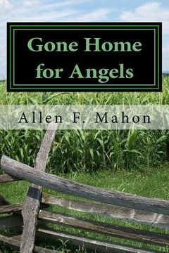 portada Gone Home for Angels: A Novel of the American Civil War (in English)