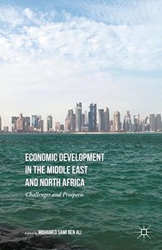 portada Economic Development in the Middle East and North Africa: Challenges and Prospects (in English)