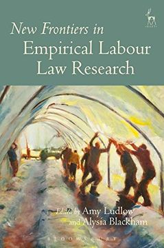 portada New Frontiers in Empirical Labour Law Research