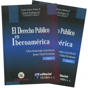 portada derecho publico en iberoamerica. 2 tomos
