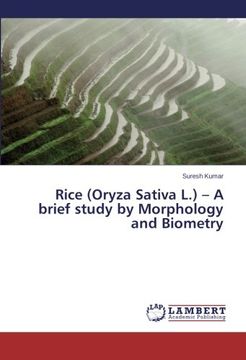 portada Rice (Oryza Sativa L.) - A Brief Study by Morphology and Biometry