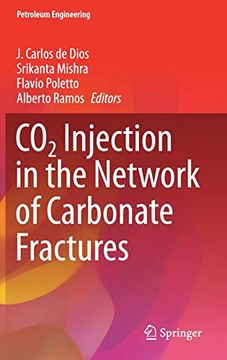 portada CO2 Injection in the Network of Carbonate Fractures (en Inglés)