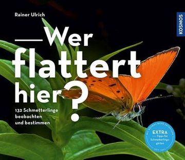 portada Wer Flattert Hier (in German)