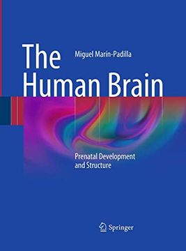 portada The Human Brain: Prenatal Development and Structure