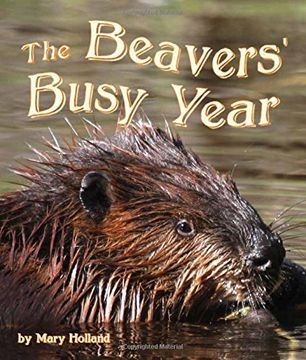 portada The Beavers' Busy Year