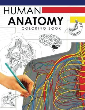 portada Human Anatomy Coloring Book: A Complete Study Guide (en Inglés)