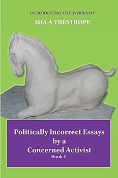 portada Politically Incorrect Essays by a Concerned Activist: Book 1 (in English)