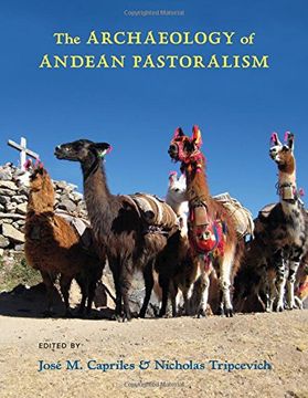 portada The Archaeology of Andean Pastoralism