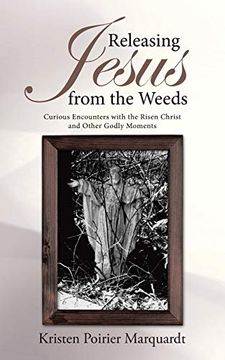 portada Releasing Jesus From the Weeds: Curious Encounters With the Risen Christ and Other Godly Moments (in English)