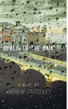 portada Dublin in the Rain (en Inglés)