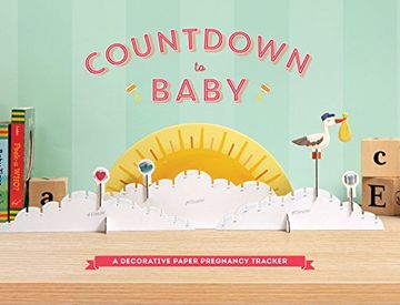 portada Countdown to Baby: A Decorative Paper Pregnancy Tracker