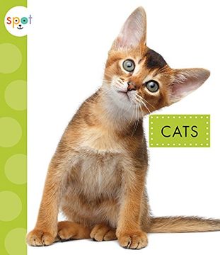 portada Cats (Spot Pets) (en Inglés)