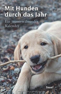 portada Mit Hunden durch das Jahr: Ein immerwährender Kalender (en Alemán)