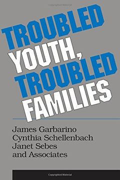 portada Troubled Youth, Troubled Families (en Inglés)