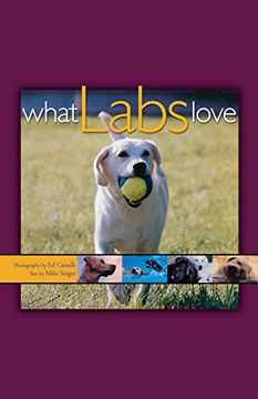 portada What Labs Love (en Inglés)