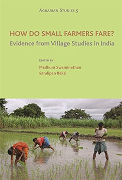 portada How do Small Farmers Fare? - Evidence From Village Studies in India (Agrarian Studies) (in English)