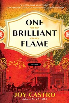 portada One Brilliant Flame: A Novel (en Inglés)
