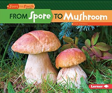 portada From Spore to Mushroom (Start to Finish, Second Series)