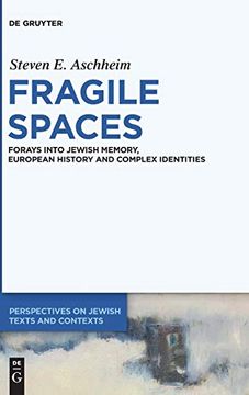 portada Fragile Spaces: Forays Into Jewish Memory, European History and Complex Identities (Perspectives on Jewish Texts and Contexts) (en Inglés)